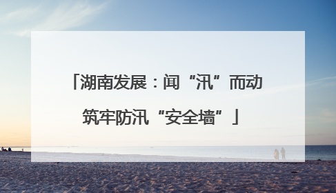 湖南发展：闻“汛”而动 筑牢防汛“安全墙”