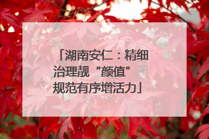 湖南安仁：精细治理靓“颜值” 规范有序增活力