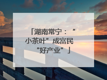 湖南常宁：“小茶叶”成富民“好产业”