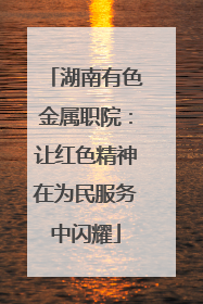 湖南有色金属职院：让红色精神在为民服务中闪耀