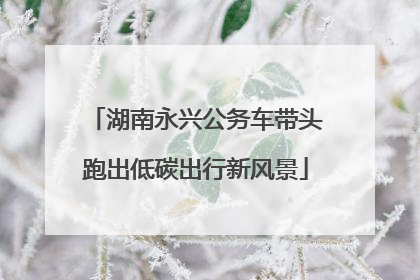 湖南永兴公务车带头跑出低碳出行新风景