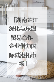 湖南芷江深化与东盟贸易合作 企业借力国际陆港拓市场