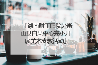 湖南财工职院赴衡山县白果中心完小开展美术支教活动