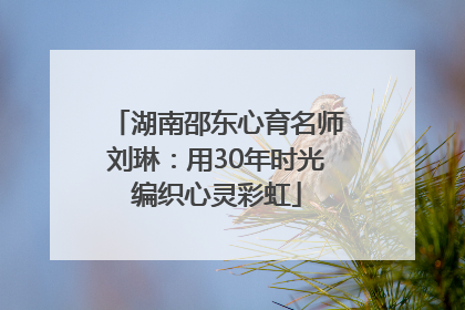 湖南邵东心育名师刘琳：用30年时光编织心灵彩虹