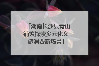 湖南长沙县青山铺镇探索多元化文旅消费新场景