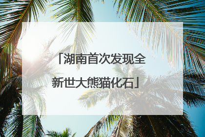 湖南首次发现全新世大熊猫化石