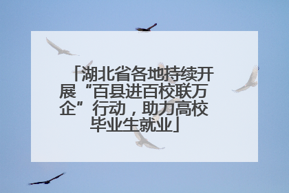 湖北省各地持续开展“百县进百校联万企”行动，助力高校毕业生就业