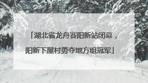 湖北省龙舟赛阳新站闭幕，阳新下屋村勇夺地方组冠军