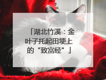 湖北竹溪：金叶子托起田埂上的“致富经”