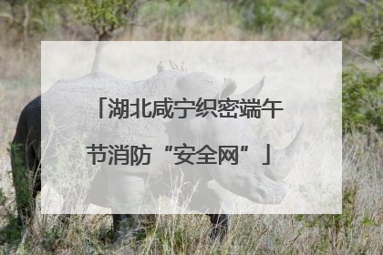湖北咸宁织密端午节消防“安全网”