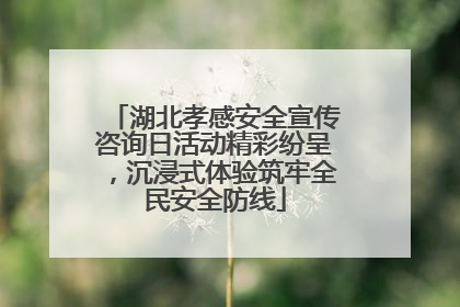 湖北孝感安全宣传咨询日活动精彩纷呈，沉浸式体验筑牢全民安全防线
