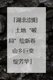 湖北崇阳：土地“破局”绘新卷 山乡巨变绽芳华