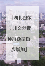 湖北巴东：川金丝猴种群数量稳步增加