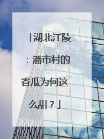 湖北江陵：潘市村的香瓜为何这么甜？