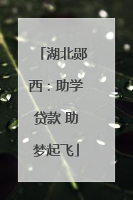 湖北郧西：助学贷款 助梦起飞
