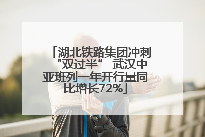 湖北铁路集团冲刺“双过半” 武汉中亚班列一年开行量同比增长72%