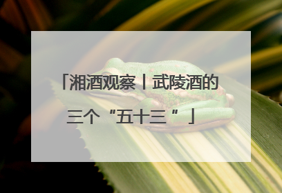 湘酒观察丨武陵酒的三个“五十三 ”