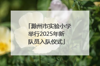 滁州市实验小学举行2025年新队员入队仪式