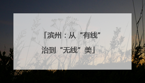 滨州：从“有线”治到“无线”美
