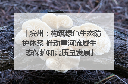 滨州：构筑绿色生态防护体系 推动黄河流域生态保护和高质量发展