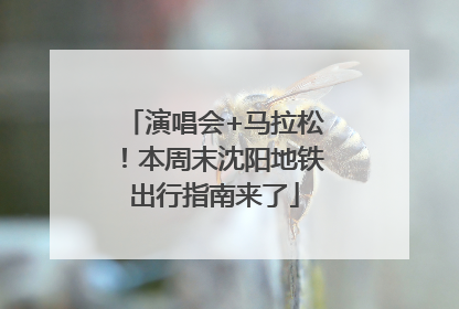 演唱会+马拉松！本周末沈阳地铁出行指南来了