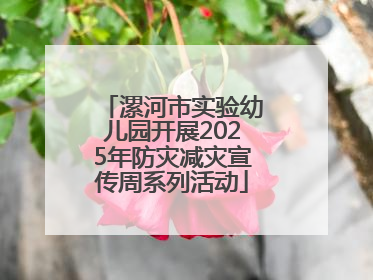 漯河市实验幼儿园开展2025年防灾减灾宣传周系列活动