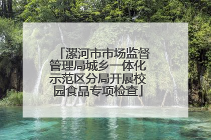 漯河市市场监督管理局城乡一体化示范区分局开展校园食品专项检查