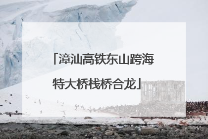 漳汕高铁东山跨海特大桥栈桥合龙