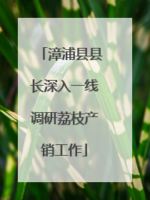 漳浦县县长深入一线调研荔枝产销工作