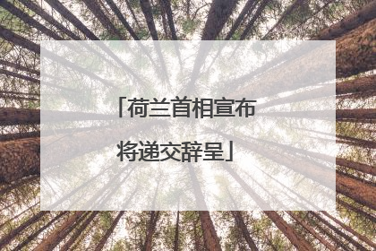 荷兰首相宣布将递交辞呈