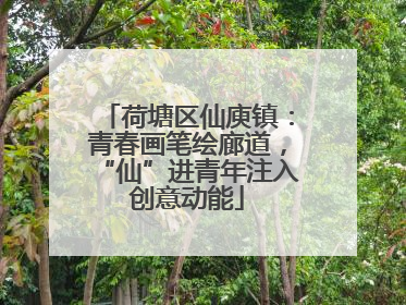 荷塘区仙庾镇：青春画笔绘廊道，“仙”进青年注入创意动能