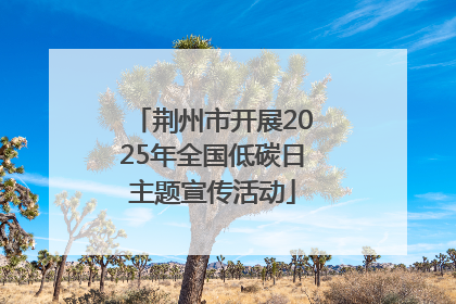 荆州市开展2025年全国低碳日主题宣传活动