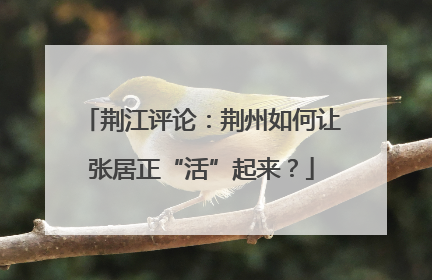 荆江评论：荆州如何让张居正“活”起来？
