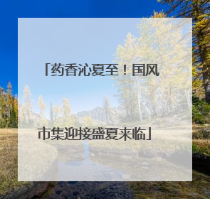 药香沁夏至！国风市集迎接盛夏来临