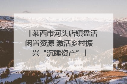 莱西市河头店镇盘活闲置资源 激活乡村振兴“沉睡资产”