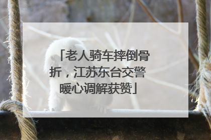 老人骑车摔倒骨折，江苏东台交警暖心调解获赞