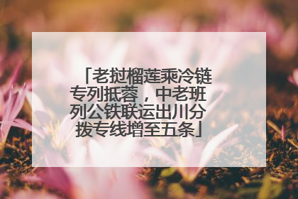 老挝榴莲乘冷链专列抵蓉，中老班列公铁联运出川分拨专线增至五条