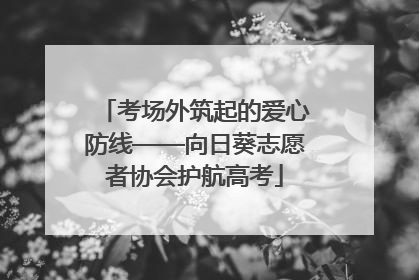 考场外筑起的爱心防线——向日葵志愿者协会护航高考