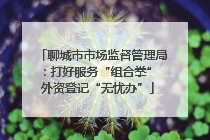 聊城市市场监督管理局：打好服务“组合拳” 外资登记“无忧办”