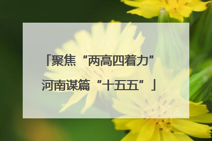 聚焦“两高四着力” 河南谋篇“十五五”
