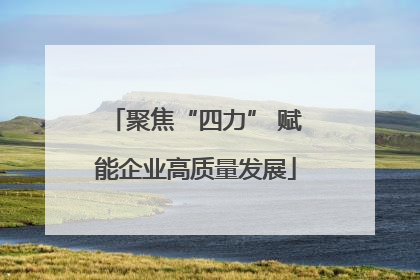 聚焦“四力” 赋能企业高质量发展