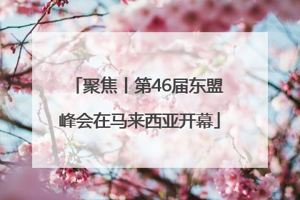 聚焦丨第46届东盟峰会在马来西亚开幕