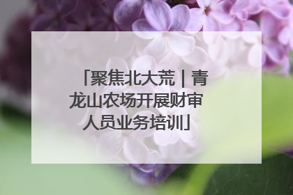 聚焦北大荒｜青龙山农场开展财审人员业务培训