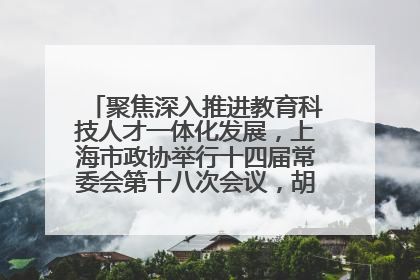 聚焦深入推进教育科技人才一体化发展，上海市政协举行十四届常委会第十八次会议，胡文容出席并讲话