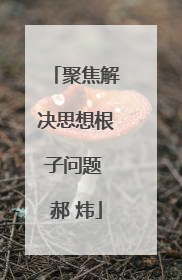 聚焦解决思想根子问题 郝 炜