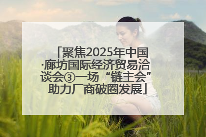 聚焦2025年中国·廊坊国际经济贸易洽谈会③一场“链主会” 助力厂商破圈发展