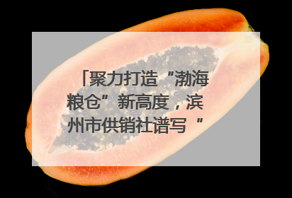 聚力打造“渤海粮仓”新高度，滨州市供销社谱写“三夏”丰收乐章