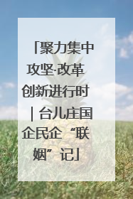 聚力集中攻坚·改革创新进行时｜台儿庄国企民企“联姻”记