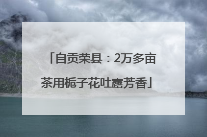自贡荣县：2万多亩茶用栀子花吐露芳香