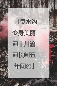 臭水沟变身美丽河丨川渝河长制五年间④